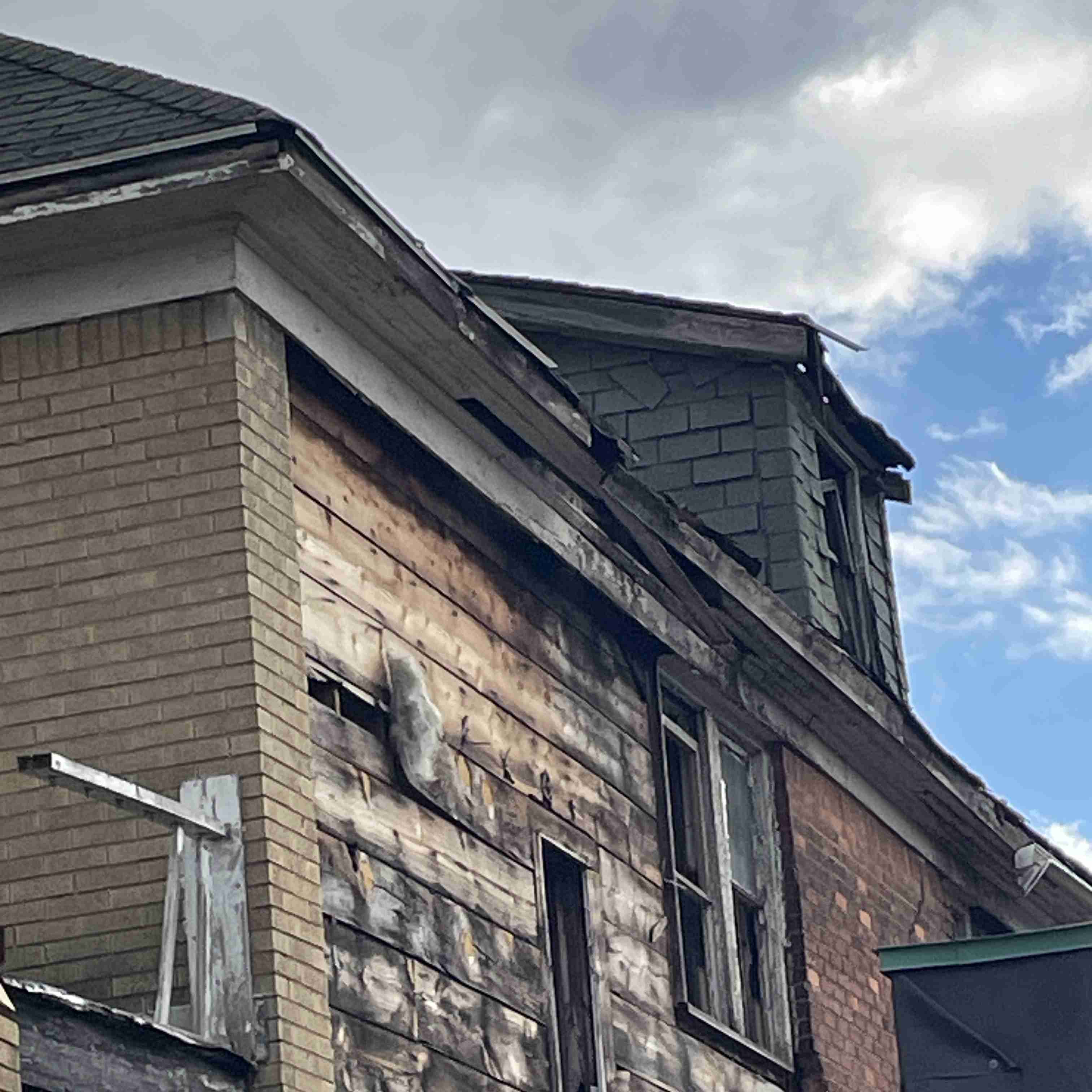 4039 Tuxedo (10).jpg